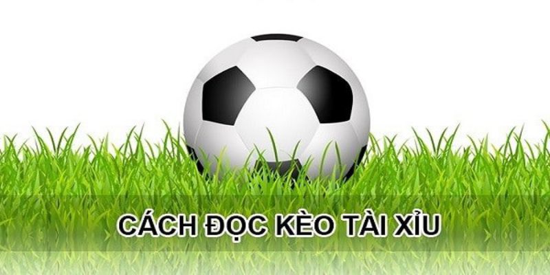 Lựa chọn đúng nhà cái có tỷ lệ kèo tốt nhất