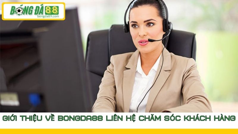 Bongda88 liên hệ chăm sóc khách hàng để được hỗ trợ