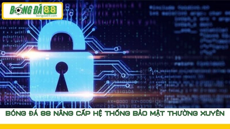 Chính sách bảo mật Bongda88 người chơi nên biết