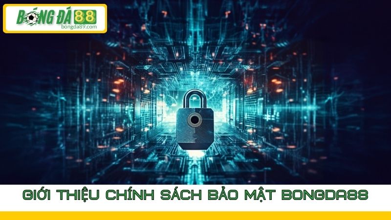 Chính sách bảo mật Bongda88 người chơi nên biết