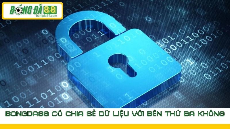 Chính sách bảo mật Bongda88 người chơi nên biết