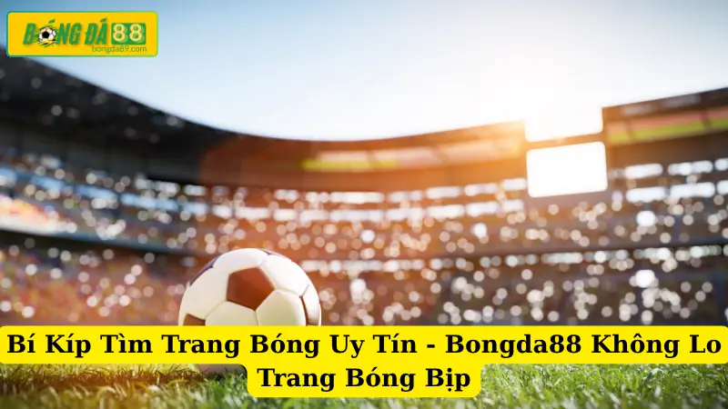 Bí Kíp Tìm Trang Bóng Uy Tín - Bongda88 Không Lo Trang Bóng Bịp
