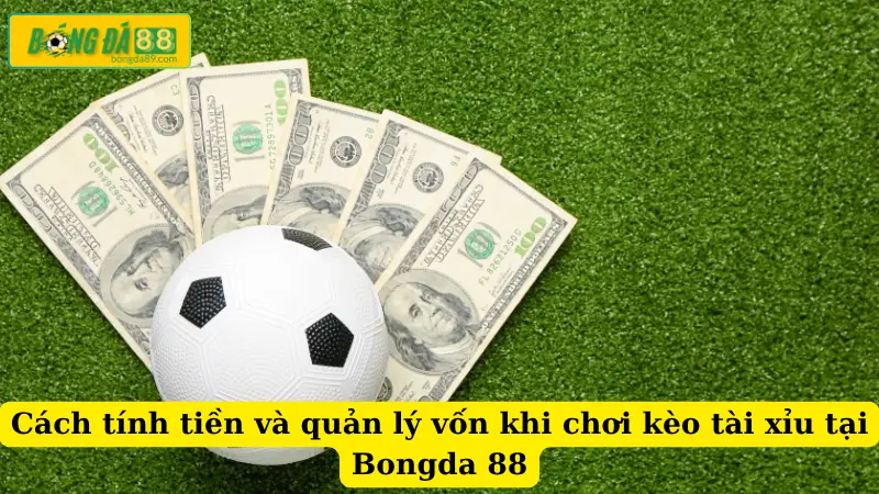 Cách tính tiền và quản lý vốn khi chơi kèo tài xỉu tại Bongda 88