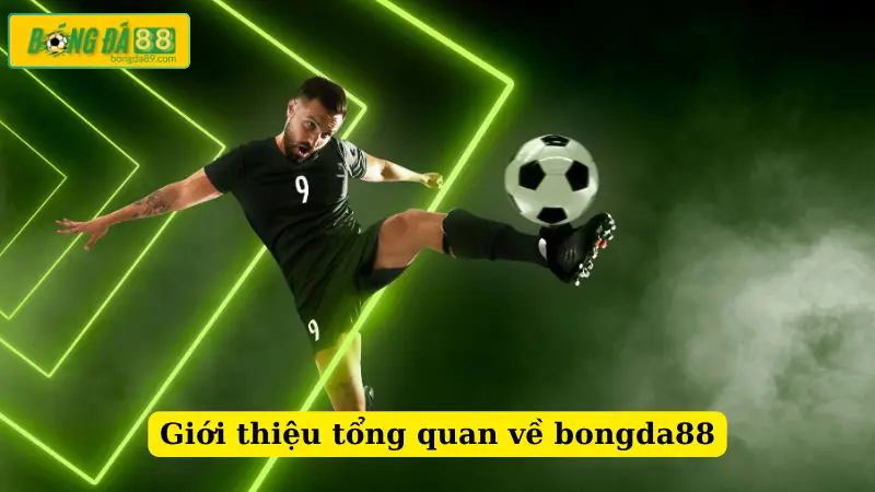 Giới thiệu tổng quan về bongda88