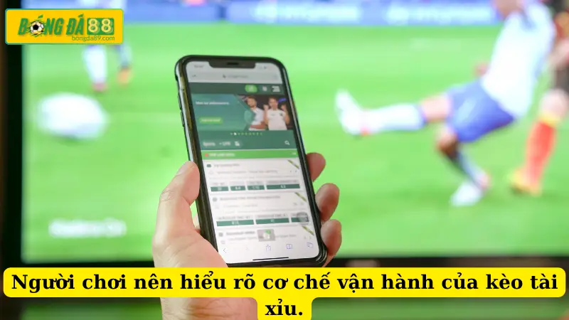 Người chơi nên hiểu rõ cơ chế vận hành của kèo tài xỉu.