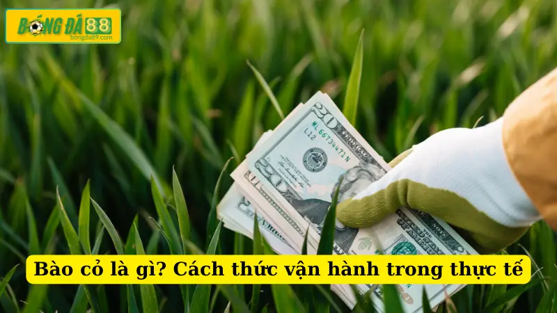 Bào cỏ là gì? Cách thức vận hành trong thực tế