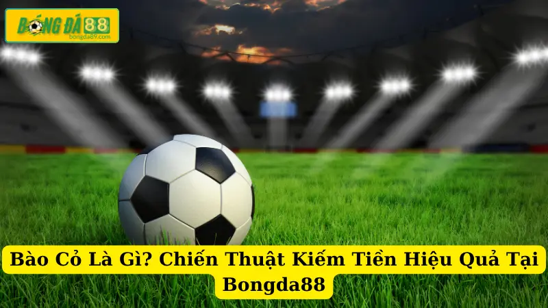 Bào Cỏ Là Gì? Chiến Thuật Kiếm Tiền Hiệu Quả Tại Bongda88