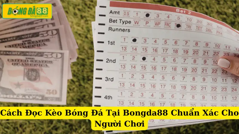 Cách Đọc Kèo Bóng Đá Tại Bongda88 Chuẩn Xác Cho Người Chơi