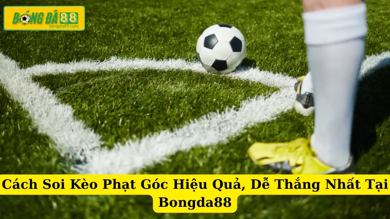Cách Soi Kèo Phạt Góc Hiệu Quả, Dễ Thắng Nhất Tại Bongda88