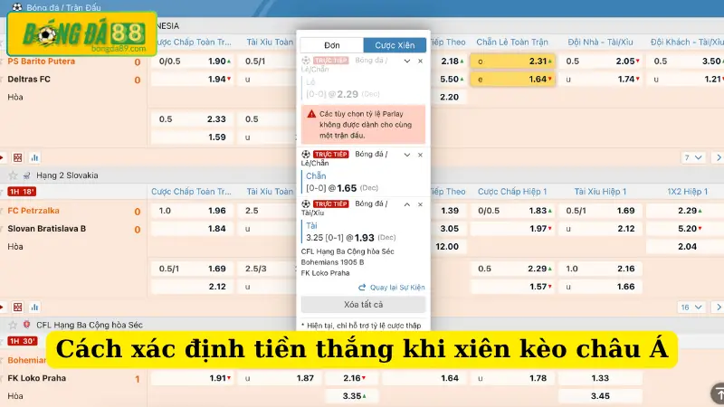 Cách xác định tiền thắng khi xiên kèo châu Á