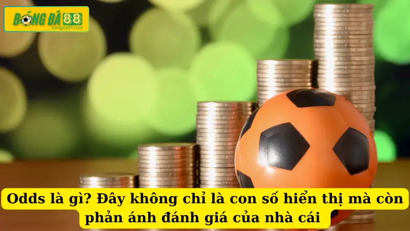 Odds là gì? Đây không chỉ là con số hiển thị mà còn phản ánh đánh giá của nhà cái 