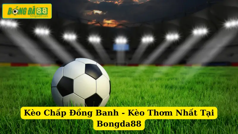 Kèo Chấp Đồng Banh - Kèo Thơm Nhất Tại Bongda88