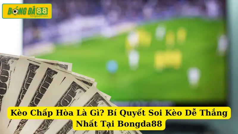 Kèo Chấp Hòa Là Gì? Bí Quyết Soi Kèo Dễ Thắng Nhất Tại Bongda88