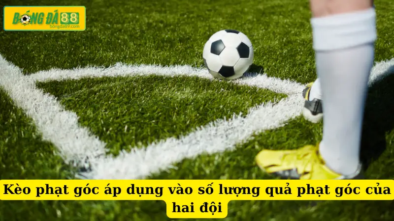 Kèo phạt góc áp dụng vào số lượng quả phạt góc của hai đội