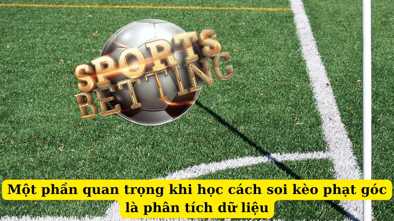 Một phần quan trọng khi học cách soi kèo phạt góc là phân tích dữ liệu