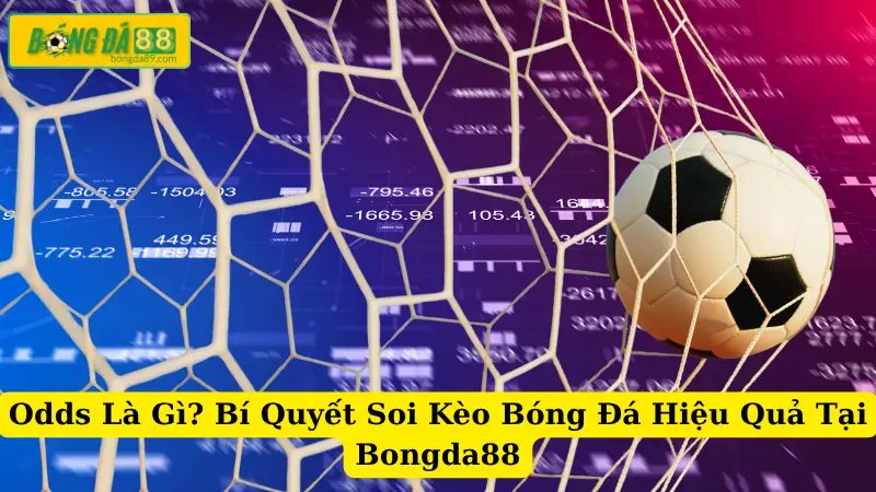 Odds Là Gì? Bí Quyết Soi Kèo Bóng Đá Hiệu Quả Tại Bongda88