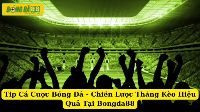 Tip Cá Cược Bóng Đá - Chiến Lược Thắng Kèo Hiệu Quả Tại Bongda88
