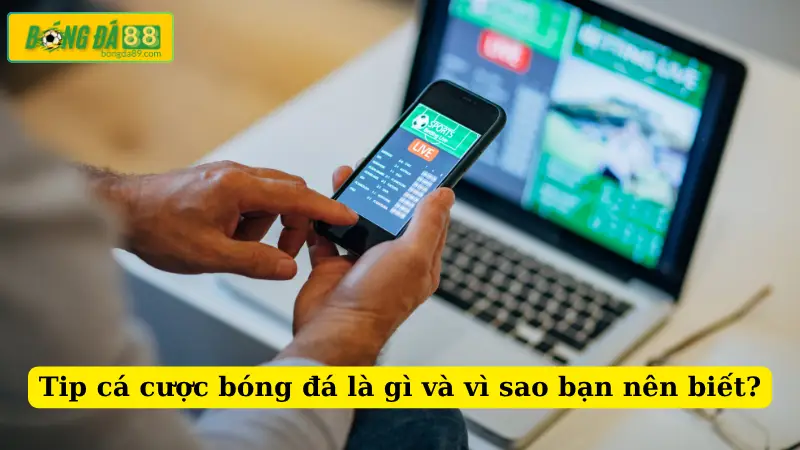 Tip cá cược bóng đá là gì và vì sao bạn nên biết?