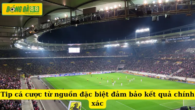 Tip cá cược từ nguồn đặc biệt đảm bảo kết quả chính xác